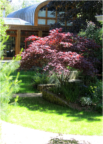 Linden Garden